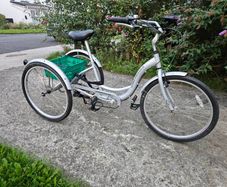 Ammacalo Free and Easy tricycle