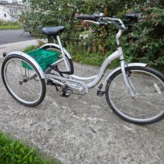 Ammacalo Free and Easy tricycle