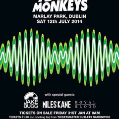 Arctic Monkeys - Dublin 2014 - Rare Mini Print/Poster
