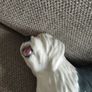 Beswick Old English Sheepdog Dulux Dog Image 7