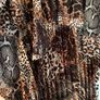 Boo Hoo dress Image 3