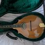 A Joe Foley Mandolin Image 10