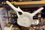 whale vertebra (backbone)