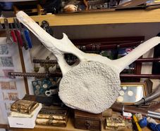 whale vertebra (backbone)