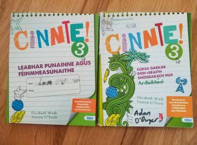 Cinnte 3 Junior cycle