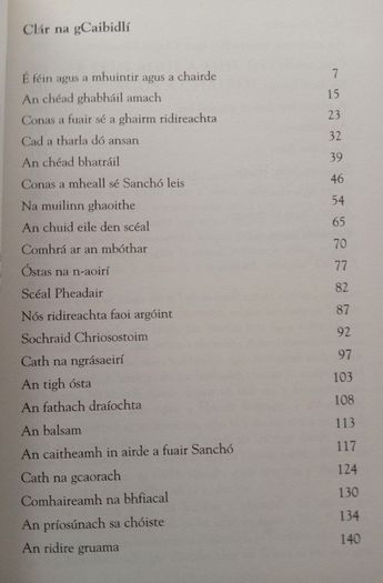 Don Quixote Irish Translation Book