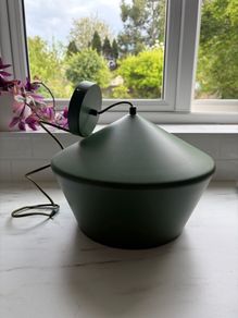 Green pendant light