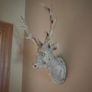 Stags Head Image 2
