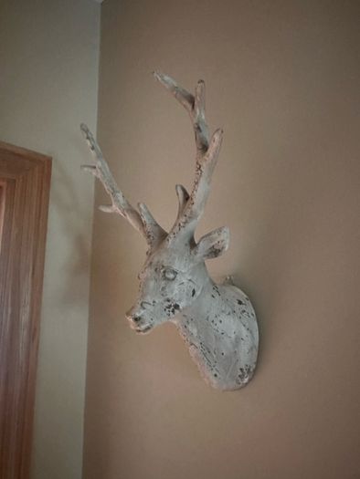 Stags Head