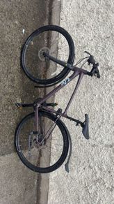 Liv bikes