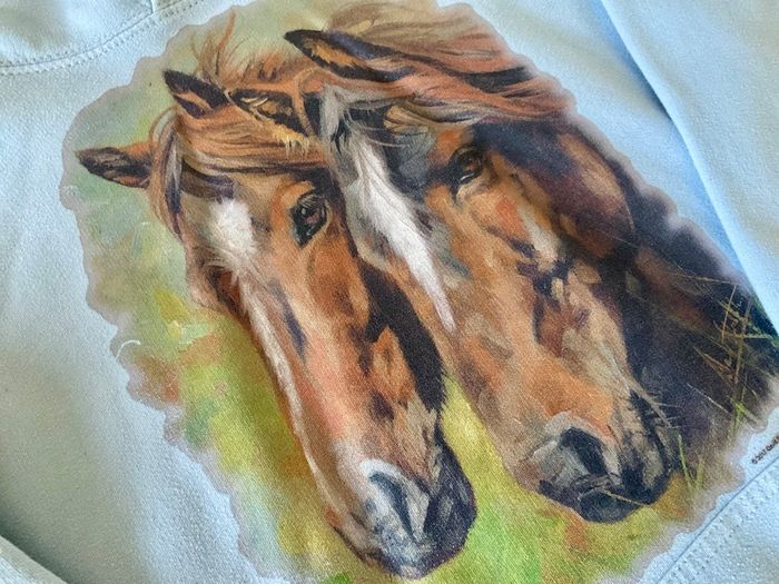Lovely baby blue hoodie with horse motif Age 9 10