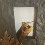 Newgrange Frame Image 4