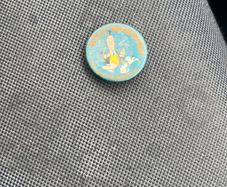 Rare Wills woodbines  clip on badge