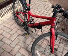 Carrera Saruna Jnr Fit bicycle