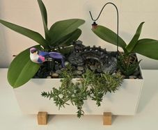 indoor