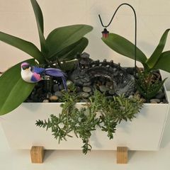 indoor