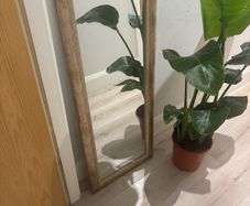 mirror