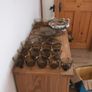 crockery Image 5