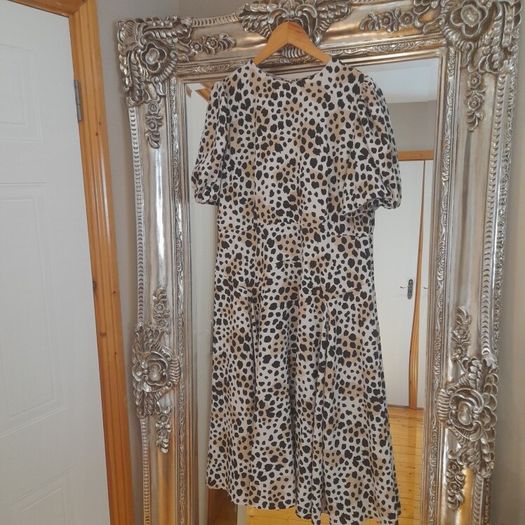 ladies dress