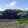 Silage bales 2026 & 2025 Image 2