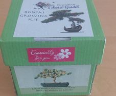 Bonsai growing kit