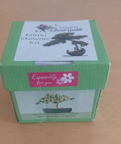 Bonsai growing kit