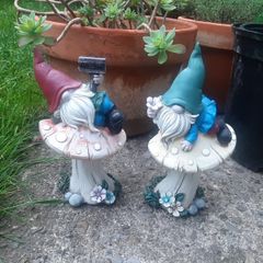garden gnomes