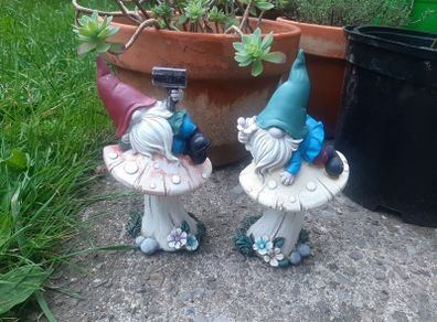 garden gnomes