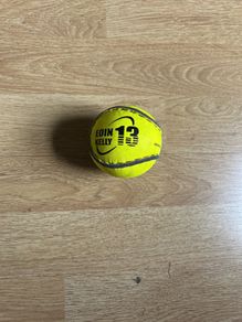 Hurling Sliotars