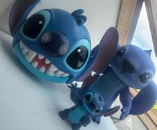 Stitch bundle