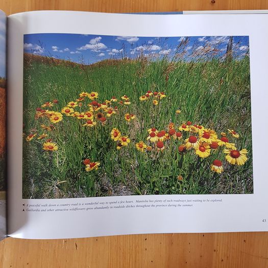 Photographic Book. Manitoba Seasons  In Beauty. Signed By The Author Robert R. Taylor. By R