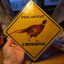 Pheasant Crossing Sign Image 4