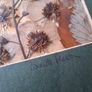 Original Irish Pressed Flower Art by Annette Preston Framed Image 2