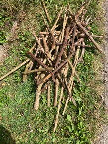 FREE seasoned kindling sticks