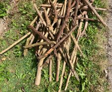 FREE seasoned kindling sticks