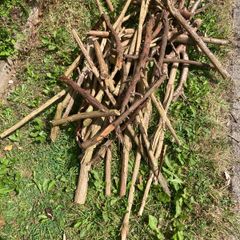 FREE seasoned kindling sticks