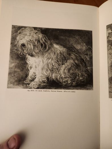 Titian Paintings  And Drawings. Phaidon. With 300 Illusions By Hans Tietze. 1950 Large Volume Hardback With Dustjacket In Good Condition.