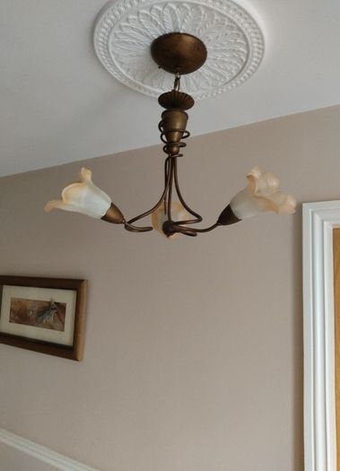 Ceiling Light
