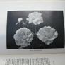 Vintage Book. The Flower Growers Handbook Image 5