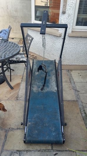 Dog treadmill