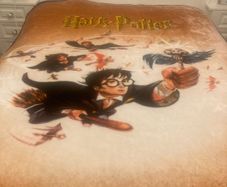 Vintage Harry Potter Blanket/Never Used.