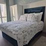 queen beds Image 2