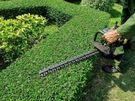 Garden Maintenance Image 4