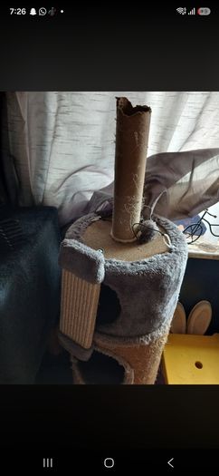 cat tree  free