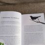 Rewild Your Garden 2020 by Frances Tophill from BBC's Gardeners World hardback in excellent condition with FREE STANDARD POSTAGE INCLUDED Image 9