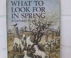 Vintage Ladybird Books