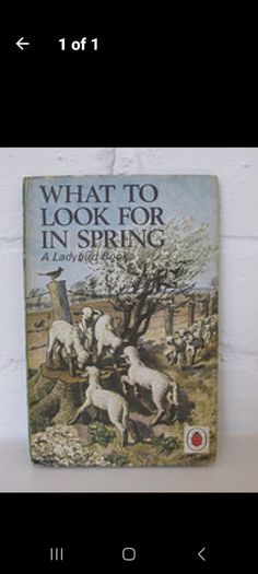 Vintage Ladybird Books