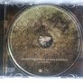 Alison Krauss & Union Station [2011] Paper Airplane (CD Album) Image 3