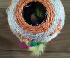 Cat toy