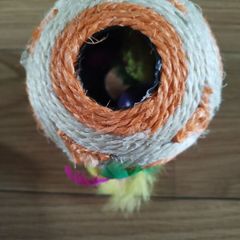 Cat toy